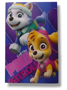 Manta Paw Patrol niña polar 720-239 New Import - vista 2