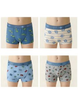 Boxers niño estampados Waterlemon 123 Pack 2 Dinoland