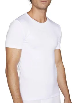 Camisetas|El Cajón de Noe